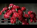 Logic1000 - Your Love