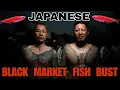 Download Lagu $1.2 Million of Illegal Aquarium Fish Seized in Japan. Black Market GMO Medaka Rice Fish Scandal.