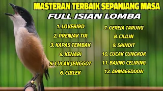 pancingan cendet agar bunyi bikin cendet yang dengar ikut gacor dan nembak isian mewah