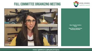 democrat blasts rep lauren boebert for zoom background at hearing
