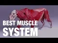 Download Lagu ZIVA 1.6 - MOST SCALEABLE MUSCLE SOLUTION.