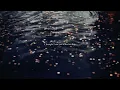the 1 - Taylor Swift