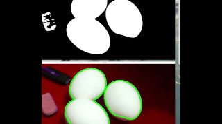 Egg Detection