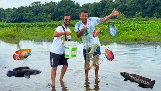 Nadi mein black channa fishing? | Assam river fishing