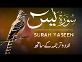 Download Lagu Surah Yaseen | Surah Yaseen With Urdu Translation | Episode - 503