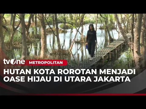 Dari Rawa Terbengkalai, Kini Hutan Kota Rorotan jadi Ruang Terbuka Hijau