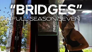 "Bridges" Full Season Seven Compilation - The AntsCanada Ecosystem Vivarium Series