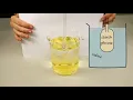 Biology Unit 1 Diffusion across a semi-permeable membrane