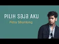 Download Lagu Pilih Saja Aku - Petra Sihombing | Lyrics