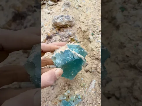 Found more AMAZING Blue Fluorite in New Mexico! STUNNING!