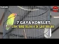 Lagu FAI DUNIA KICAU : 7 GAYA KONSLET LOVEBIRD NGEKEK DI GANTANGAN!!