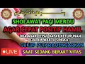 Download Lagu TERBUKTI LANGSUNG POSITIF HAMIL !! Sholawat Agar Cepat Hamil Dan Memiliki Keturunan Dengan Cepat