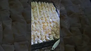 بقلاوة تركية شاب حسني حسني حسين الجسمي 