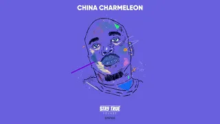 zito mowa sumthng more ft ziyon china charmeleon the animal remix 