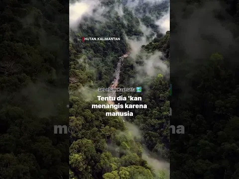 Seandainya Bumi Mampu untuk Bicara..🥀 #nasidaria #karhutla  #kalimantan #prayforkalimantan