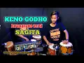 Download Lagu KENO GODHO JARANANE MIRIP SAGITA cover viham jaipong