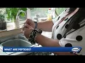 New Hampshire doctor discusses popularity effectiveness of certain peptides