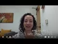 Documentation Consultation Writing Notes
