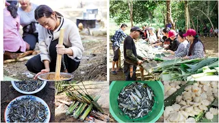 Zaphumi Ahuna Ikhikulu Kighini 