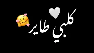 كلبي طاير فوك شاشه سوداء حالات واتس بدون حقوق ترند تيك توك اغاني 2025 