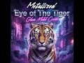 Eye of the Tiger (Glam Metal Cover)