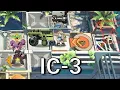Download Lagu [Arknights] IC-3 Low Rarity Clear