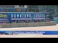 Denver s Downtown Aquarium Reopens With Limited Capacity