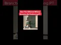 PT In The Different Military Branches