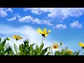Soulsearcher - Feelin' Love (Soulsearcher Club Mix) [Defected Records]