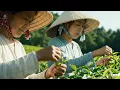 Download Lagu OVER 3 HOURS Relaxing Piano Music for Studying, Working \u0026 Deep Sleep  Beautiful 4K Nature Scenery