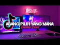 DJ ABANG PILIH YANG MANA X EMANG ENAK || FYP TIKTOK 2022