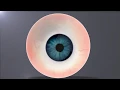 Maya Tutorial How to create easy eye Eyeball with Arnold