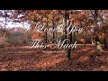 Download Lagu I love you this much (lyric) - Maggie Macneal
