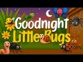 Download Lagu 12 Hour Bedtime Story for Kids 🐞 | Goodnight Little Bugs | Sleep Video Ages 0–5