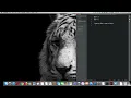 41 Using or with if else statement Python