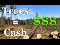Make Money From Your Trees - Timber Company Clearcut Our Property