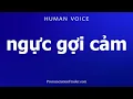 Download Lagu How To Pronounce nguc goi cam