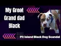 Pit Island - I got some Black in my Blood episode 1
