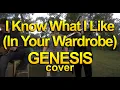 Download Lagu I Know What I lIke - GENESIS cover