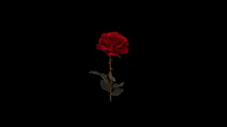 Download LANY - 4 Stripped Version. ILYSB, Super Far, I Dont Wanna Love You Anymore, Thru These Tears MP3