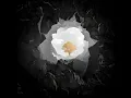 Download Lagu Avicii - Friend Of Mine ft. Vargas \u0026 Lagola ( Alternate drop with new melody ) [ Unreleased ]