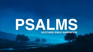 Psalms Peaceful Bible Reading for Sleep Meditation NIV