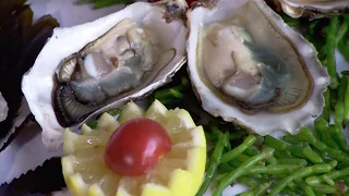 How It s Actually Made - Oysters
