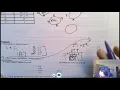 Genetics Practice Problems Examples