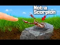 Download Lagu I Got a Pet Pseudoscorpion