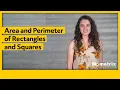 Area and Perimeter of Rectangles and Squares