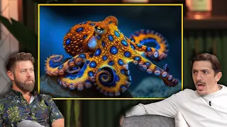 Deadliest Animals You'd Never Expect