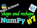 NumPy Tutorial shape and reshape in array