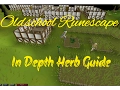 In Depth Herb Guide Most Efficient and Fastest Methods
