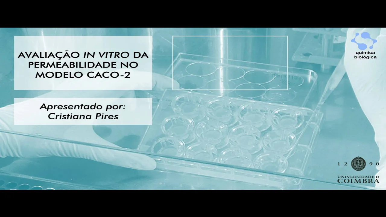 Avaliação in vitro da permeabilidade no modelo Caco-2